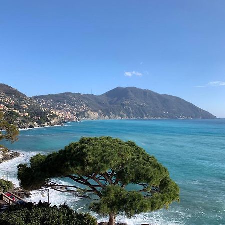 Villa Giulia By Holiday World レッコ エクステリア 写真